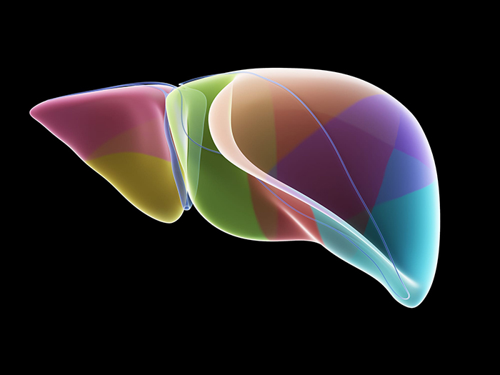 abstract colorful graphic