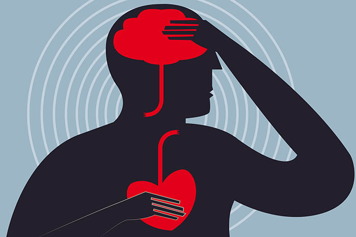 graphic showing head and heart stroke connection