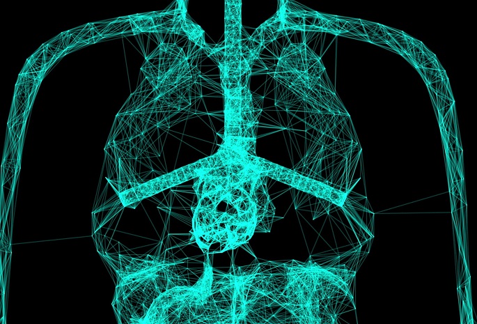3D  x-ray rendering of heart and lungs