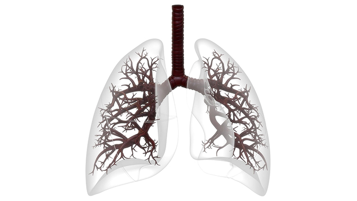 double lung transplant