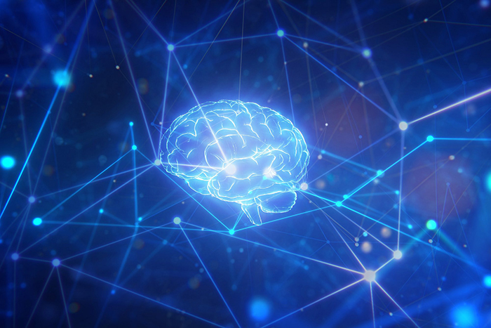 A virtual image of a human brain