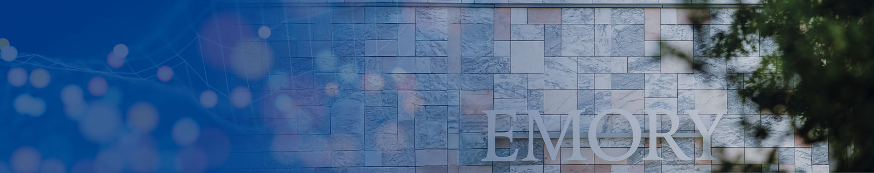 Emory Healthcare Careers