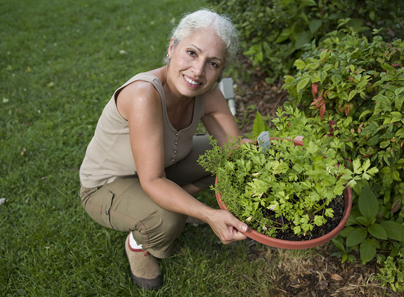 woman gardening
