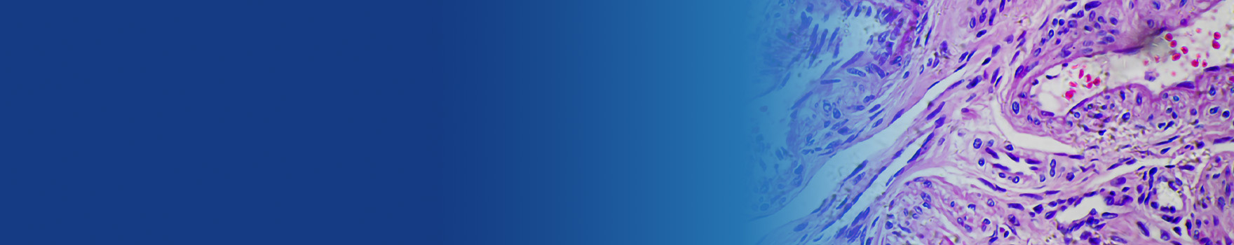 department-of-dermatology-hero