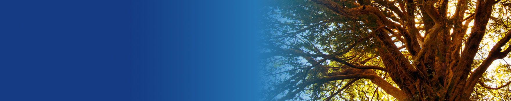 department-of-family-and-preventative-medicine-hero