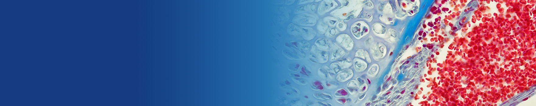 department-of-hematology-and-medical-oncology