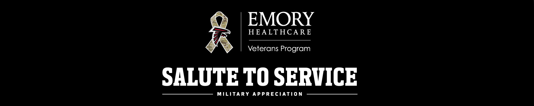 Falcons-STS-LPBanner