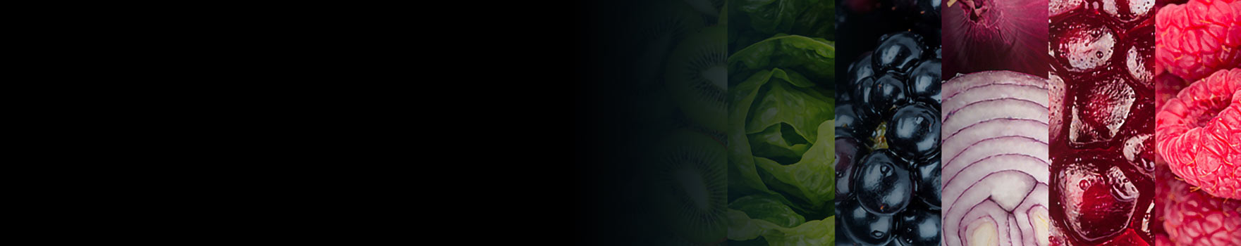 Fruits and Vegetables