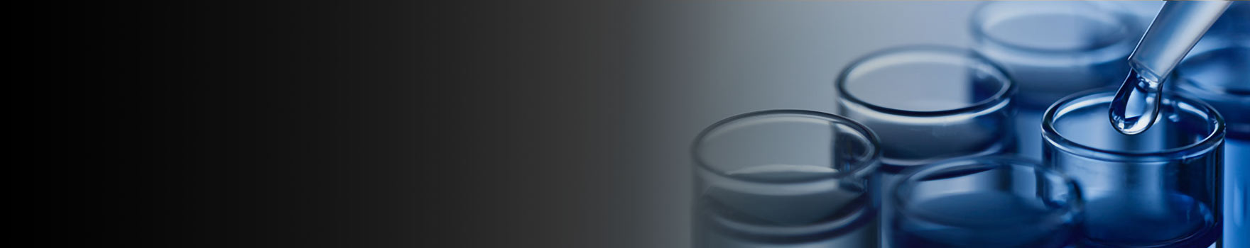 Research & Innovation