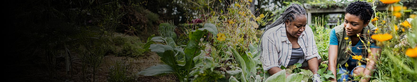 elderly woman and young woman gardening together