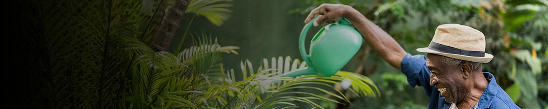 man watering plants in the garden