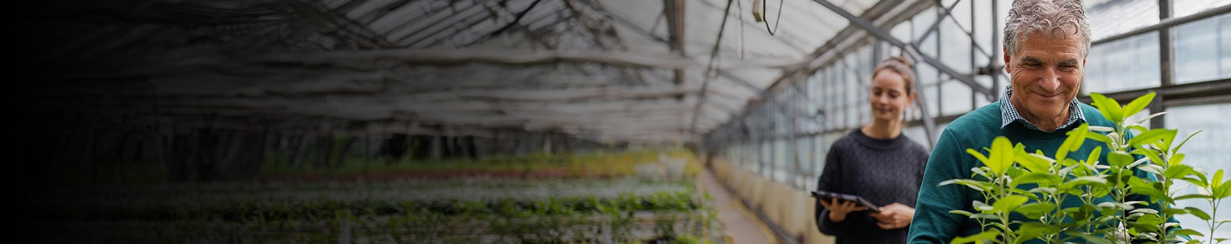elderly man looks at a plant while young woman looks at her iPad inside a greenhouse