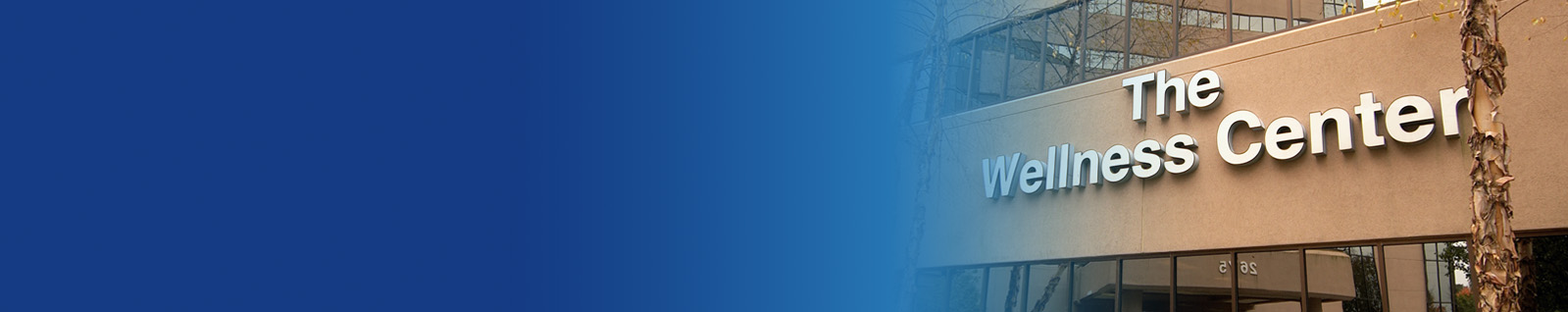 wellness-center-hero