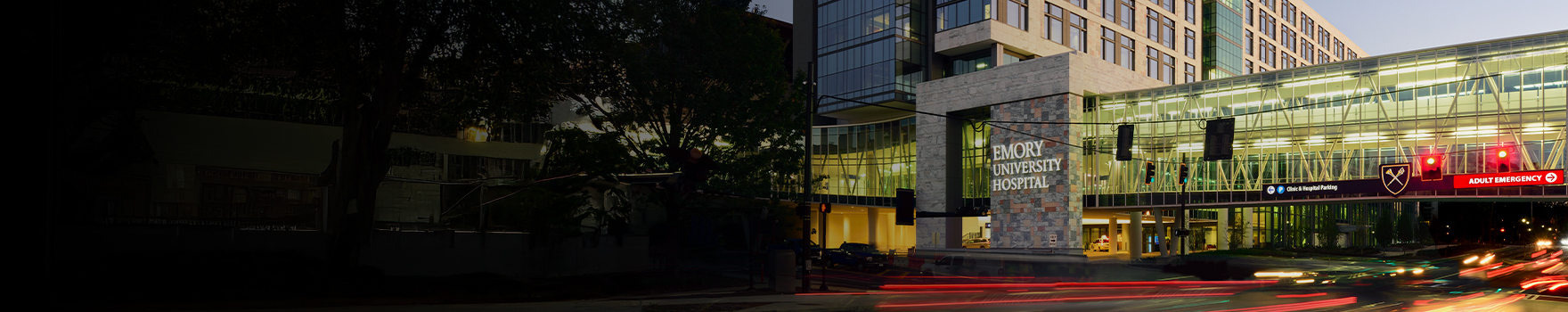 Emory University Hospital bridge