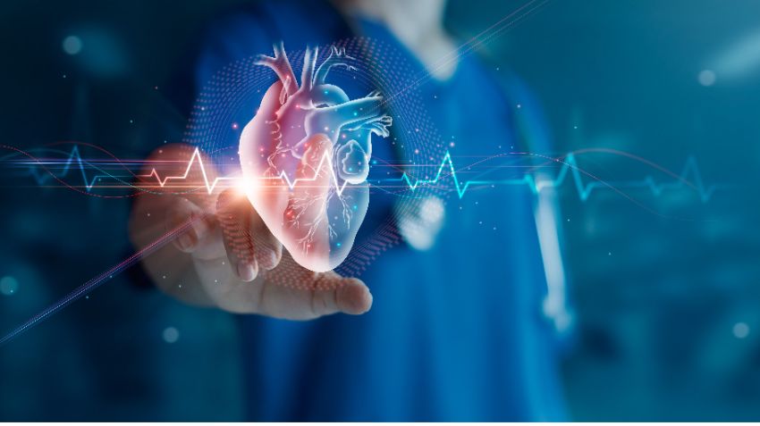 medical illustration of human heart