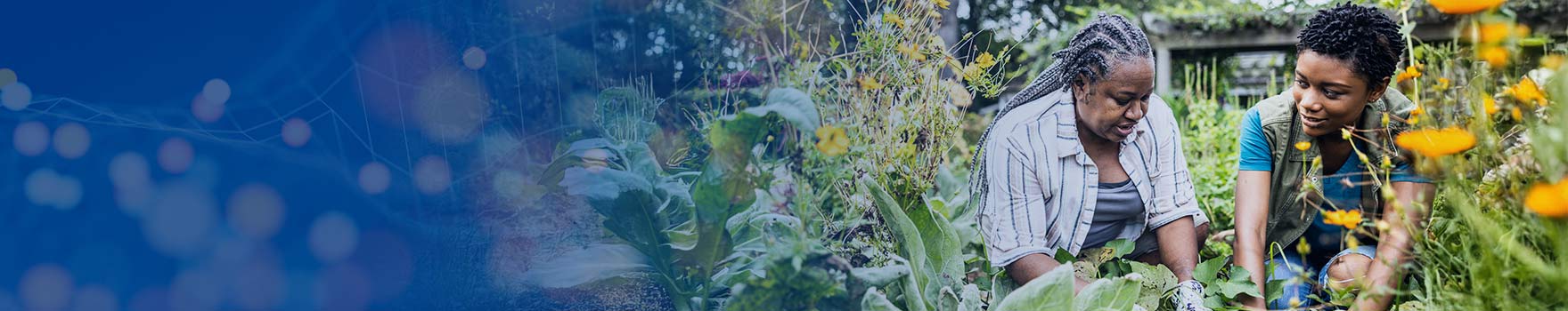 two people planting on a garden