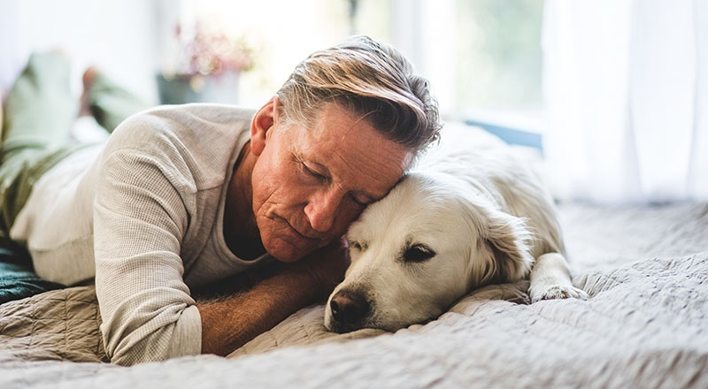 Abdominal Aorta Surgery