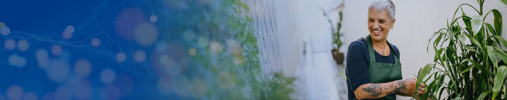 Kidney-Pancreas Transplant