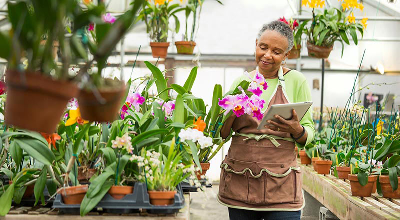 How Liver Transplant Works