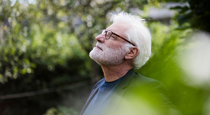 How Pancreas Transplant Works