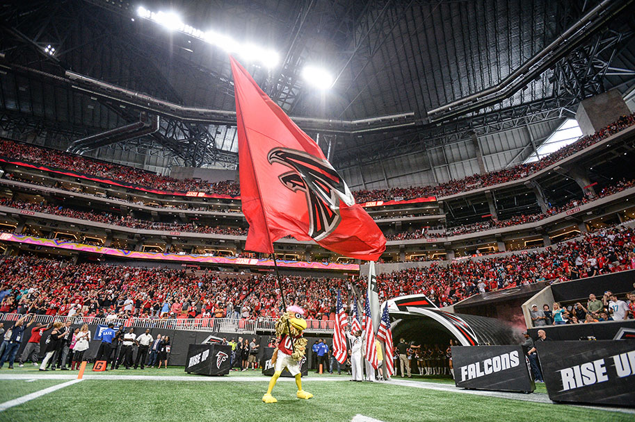 Falcons Mascot Flag in the Stadium