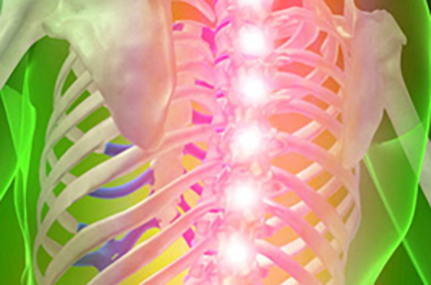 news-ortho-spine