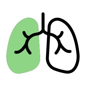 LUNGS emergency code icon